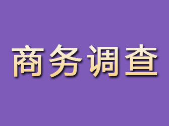 江津商务调查